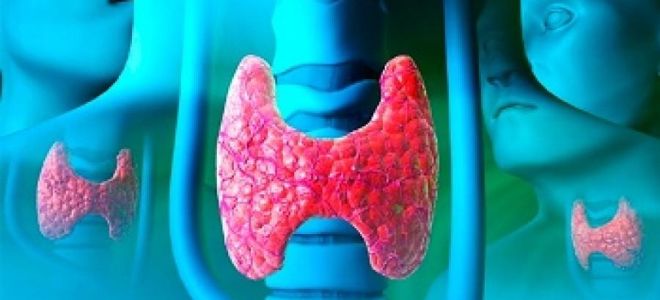 Щитовидная железа лечение йодом
